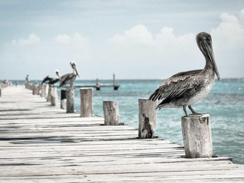 索拉里斯海<br>ljvwvuu.cn 液态记忆星球